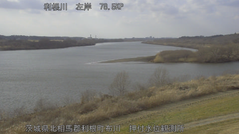 tonos2026022215_image