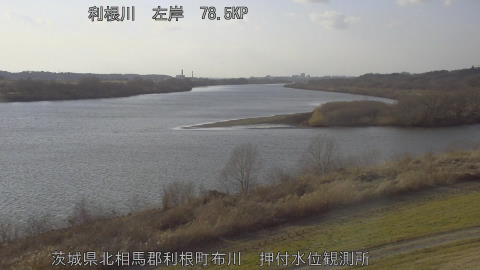 tonos2026022216_image