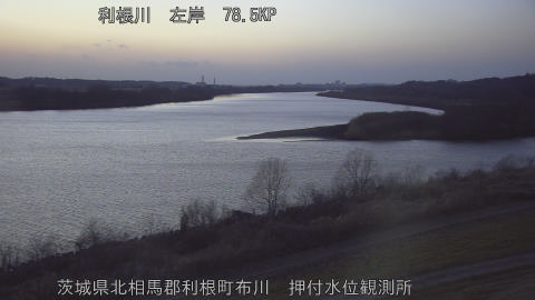 tonos2026022218_image