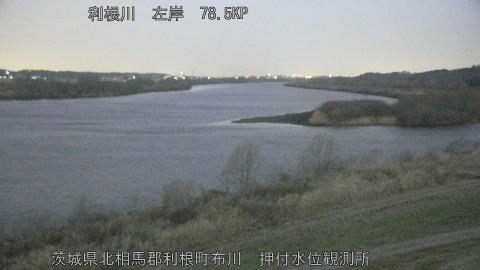 tonos2026022306_image