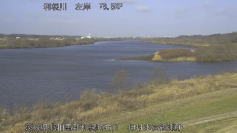 tonos2026022309_image