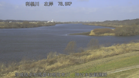 tonos2026022310_image