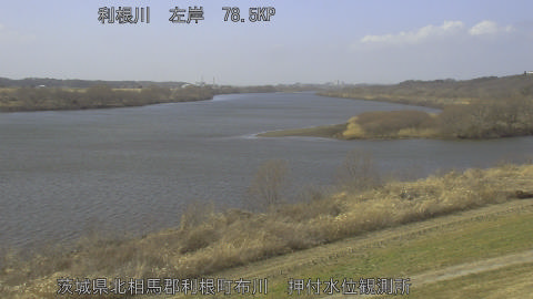 tonos2026022313_image