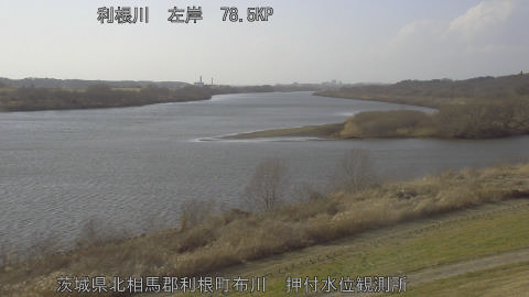 tonos2026022315_image