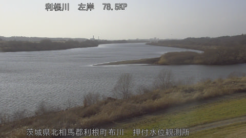 tonos2026022316_image