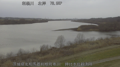 tonos2026022417_image