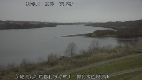 tonos2026022418_image