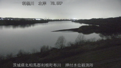 tonos2026022421_image