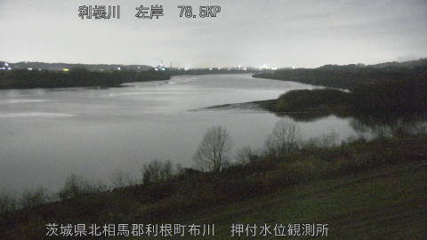 tonos2026022502_image