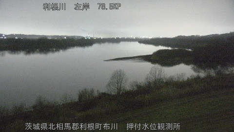 tonos2026022504_image