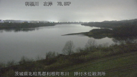 tonos2026022505_image