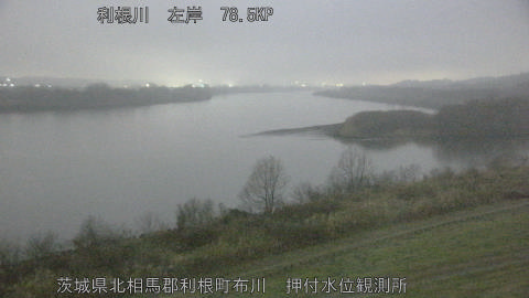 tonos2026022506_image