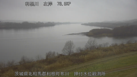 tonos2026022507_image