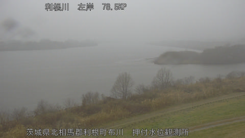 tonos2026022508_image