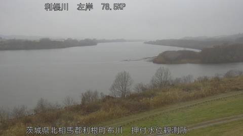 tonos2026022509_image