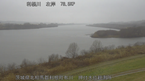 tonos2026022510_image