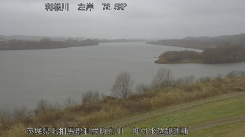 tonos2026022512_image