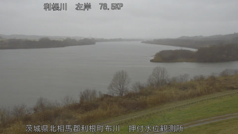 tonos2026022513_image