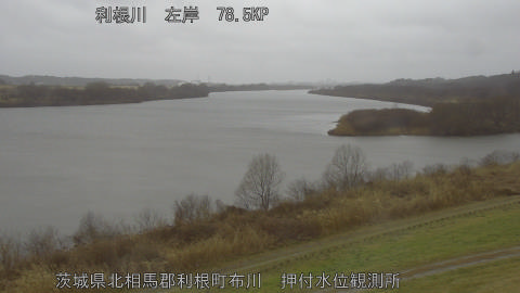 tonos2026022514_image