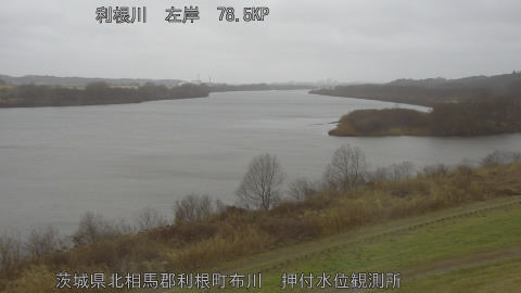 tonos2026022516_image