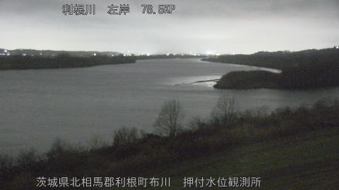 tonos2026022519_image