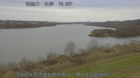 tonos2026022608_image