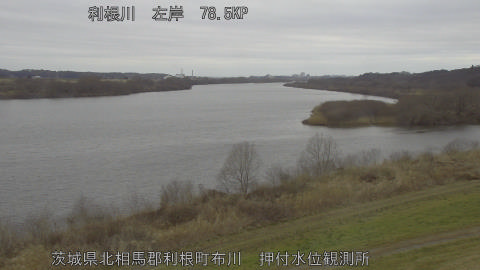 tonos2026022609_image