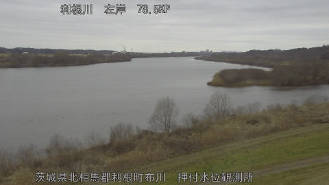 tonos2026022610_image