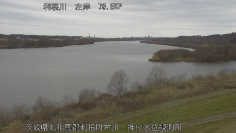 tonos2026022611_image