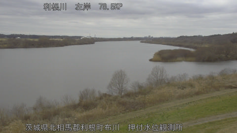 tonos2026022613_image