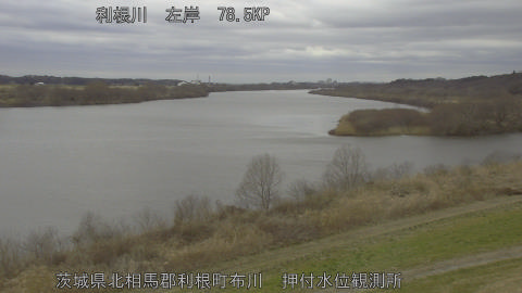 tonos2026022614_image