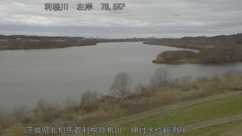 tonos2026022615_image