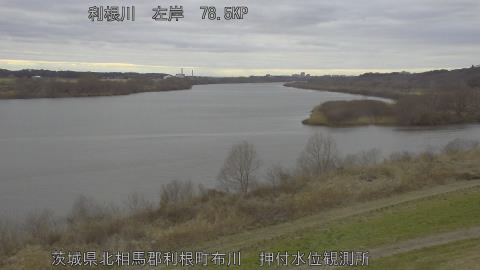 tonos2026022616_image