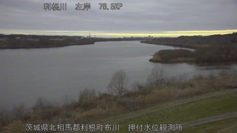 tonos2026022618_image