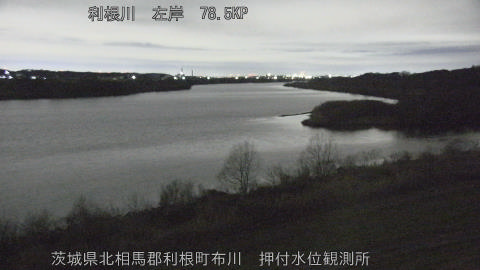 tonos2026022703_image