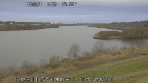 tonos2026022707_image