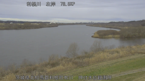 tonos2026022708_image