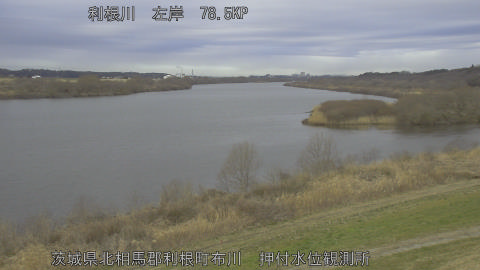 tonos2026022709_image