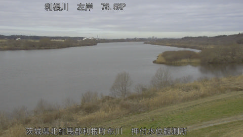 tonos2026022710_image