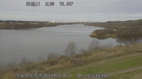 tonos2026022711_image