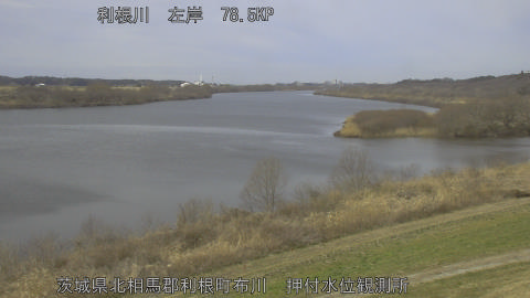 tonos2026022712_image