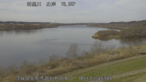 tonos2026022713_image