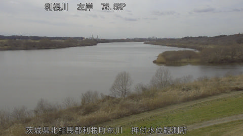 tonos2026022714_image