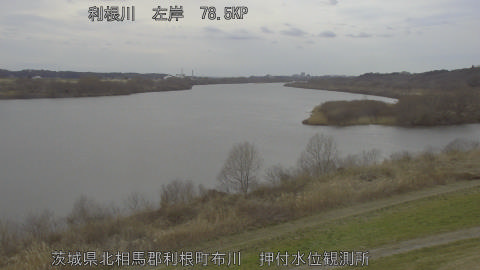 tonos2026022715_image