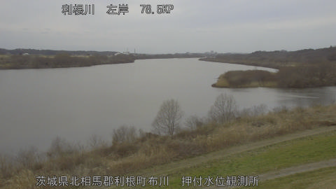 tonos2026022716_image