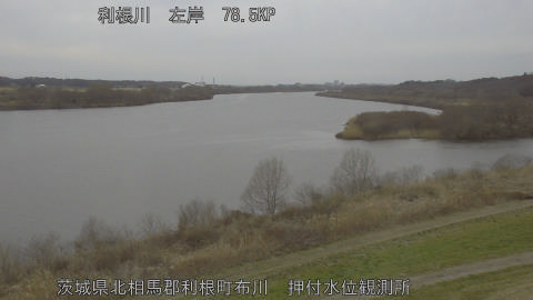 tonos2026022717_image