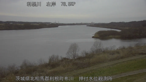 tonos2026022718_image