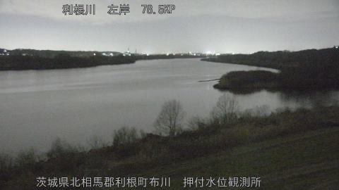 tonos2026022719_image