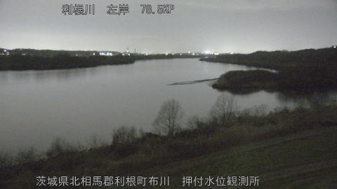 tonos2026022720_image