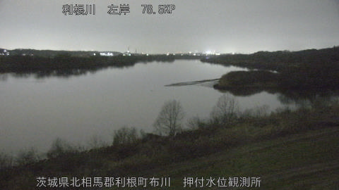 tonos2026022721_image